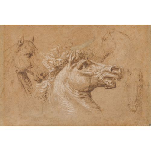 Four Studies of the Heads of Horses
